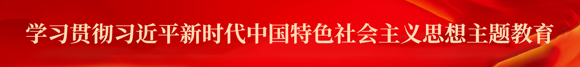 學(xué)習(xí)貫徹習(xí)近平新時代中國特色社會主義思想